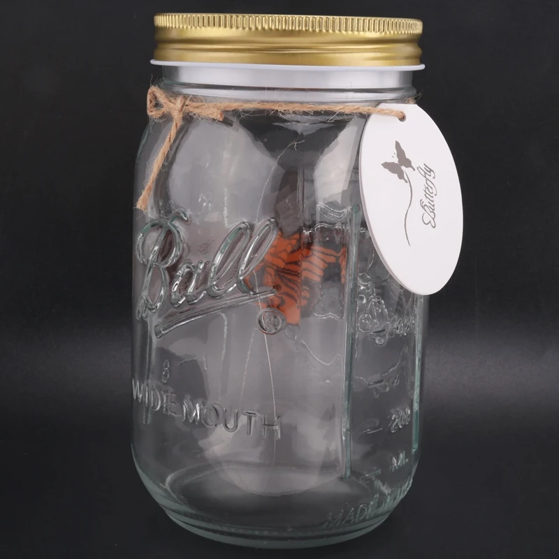 Simulation Butterfly Collection In A Jar, Butterfly Jar That Moves, LED Light Romantic Glass Animated Butterfly Orange Durable