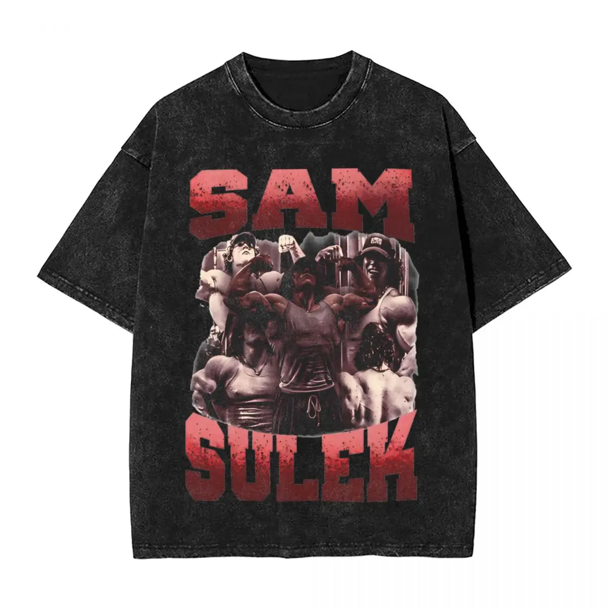 Retro Sam Sulek Gym T Shirts Hip Hop Washed Short Sleeve Street T-Shirts Fashion Men Women Tops Streetwear Summer Tees