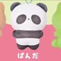 panda