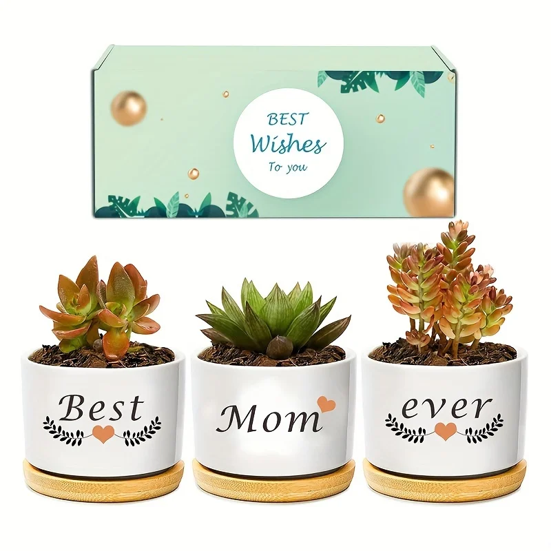 3pcs Set of Hand-painted Ceramic Succulent Pot Plant Pots with Drainage and Bamboo Tray As Desktop Decoration Gift Box