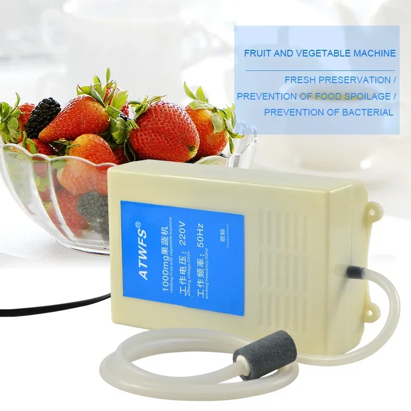 ATWFS 1000mg Portable Ozone Generator 220v Air Purifier Water Ozonizer Aquarium Ozonator EU plug