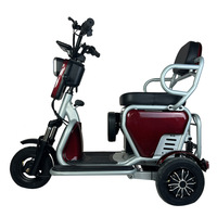 Factory Wholesale Electric Tricycle 20-inch Fat Tire Anti-rollover Electric Tricycle Adult City Electric Vehicle