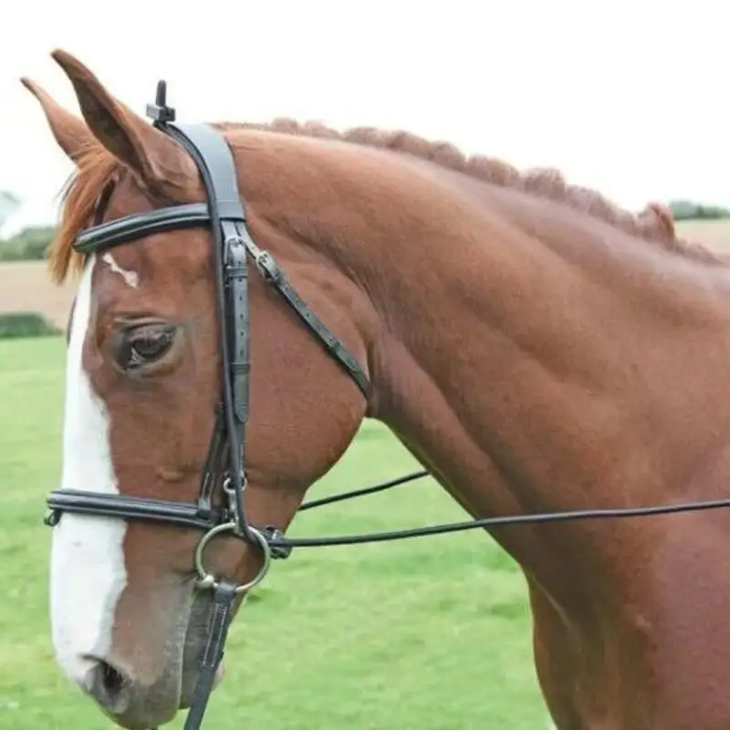 Horse Rein Strap Rope Neck Stretcher Adjustable Elastic with Plastic Buckles Horse Equestrian Supplies Durable Riding Equipment