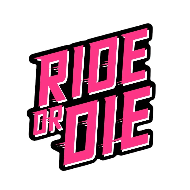 2pics RIDE OR DIE Bike Frame Sticker DIY Top Tube Seat Tube Sticker MTB Road Bicycle Decals Cycling Decorative Waterproof Film