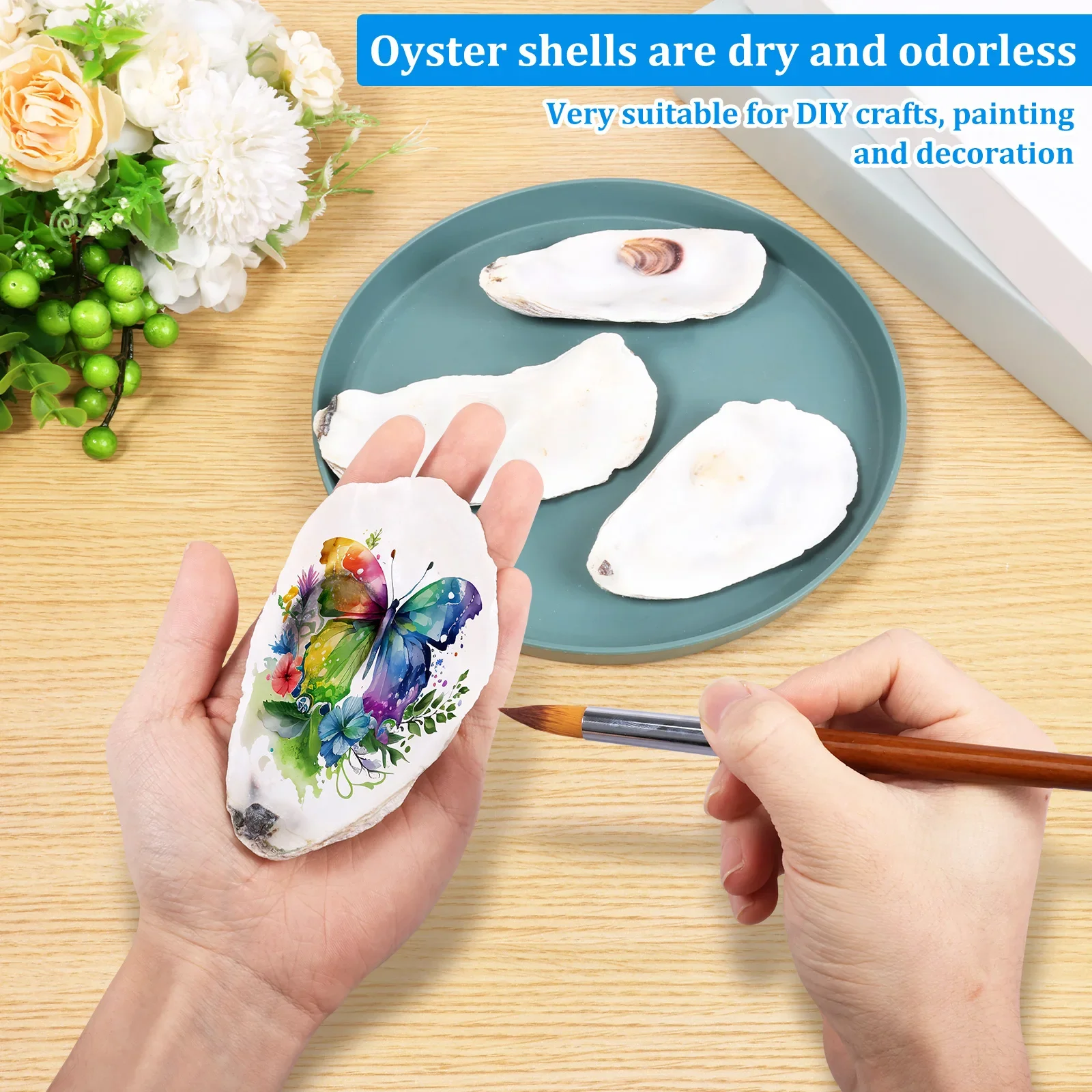 20Pcs Natural Oyster Shell Set 3-4'' Calcium Carbonate Oyster Shell DIY Craft Sea Shell for Home Party Decor Christmas Pendants view 5