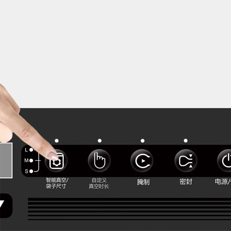 Chamber Style Pickling Machine Vacuum Machine Commercial Food Vacuum Sealing Machine Packaging& Sealing Machine 30cm