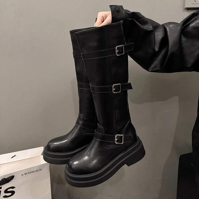 Platform Women Knight Long Boots Fashion Warm Fur Shoes Autumn Winter Square Heels Ladies Knee High Booties image 3