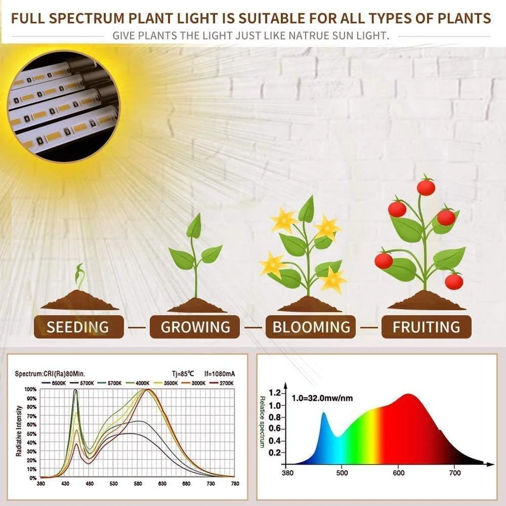 LED USB Clip Grow Light 3000K Full Spectrum Plant Lamp Timing Control Indoor Greenhouse Flower Seedling Phyto Lamp 1-5Heads