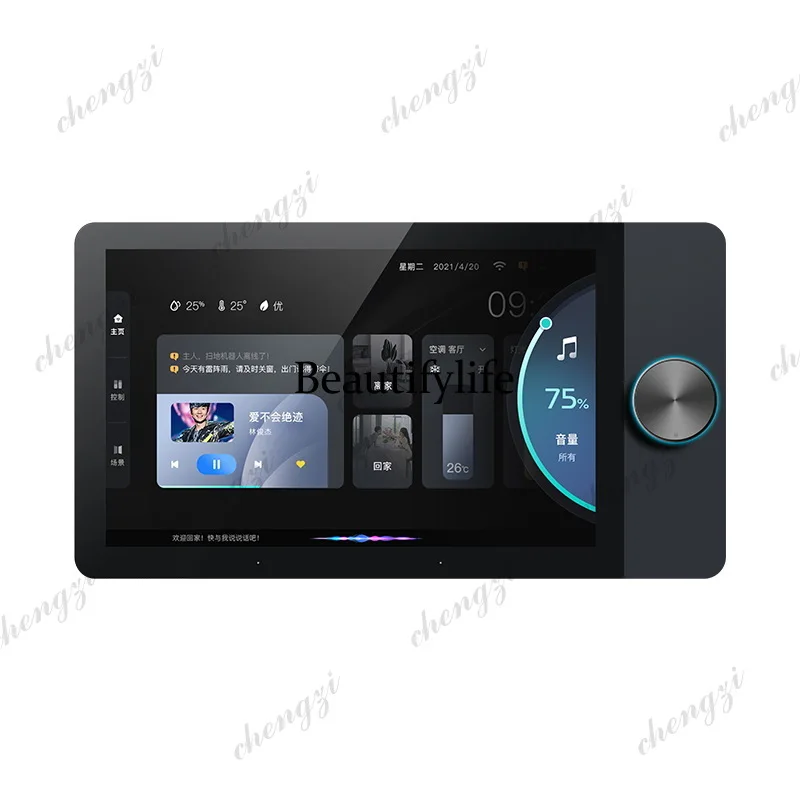 Intelligent gateway multi-function background music central control screen 8-inch home voice control player