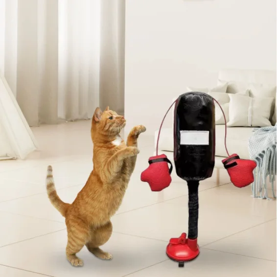 Thumbnail 2 - #23 Boxing Gloves & Mitts Comparison Guide