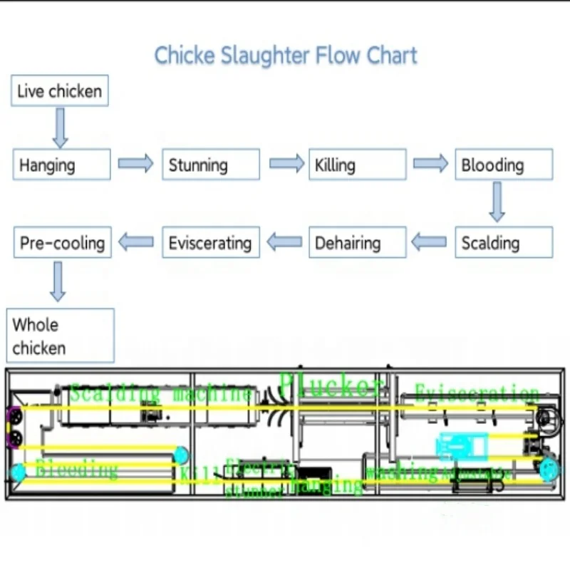Compact 300-1000 Chickens Automatic Slaughterhouse Equipment Slaughtering Processing Line