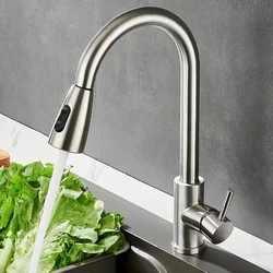 Modern Stainless Steel Pull-Out Kitchen Faucet - Sleek Design with Dual Water Outlets, 360° Rotatable & Retractable, Hot & Cold