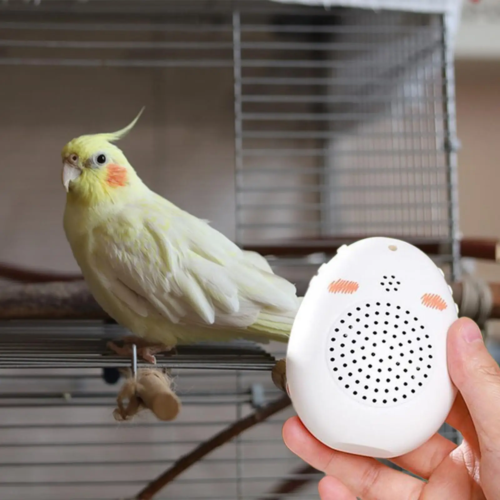 Juguete interactivo para pájaros con grabación y aprendizaje - imagen 2