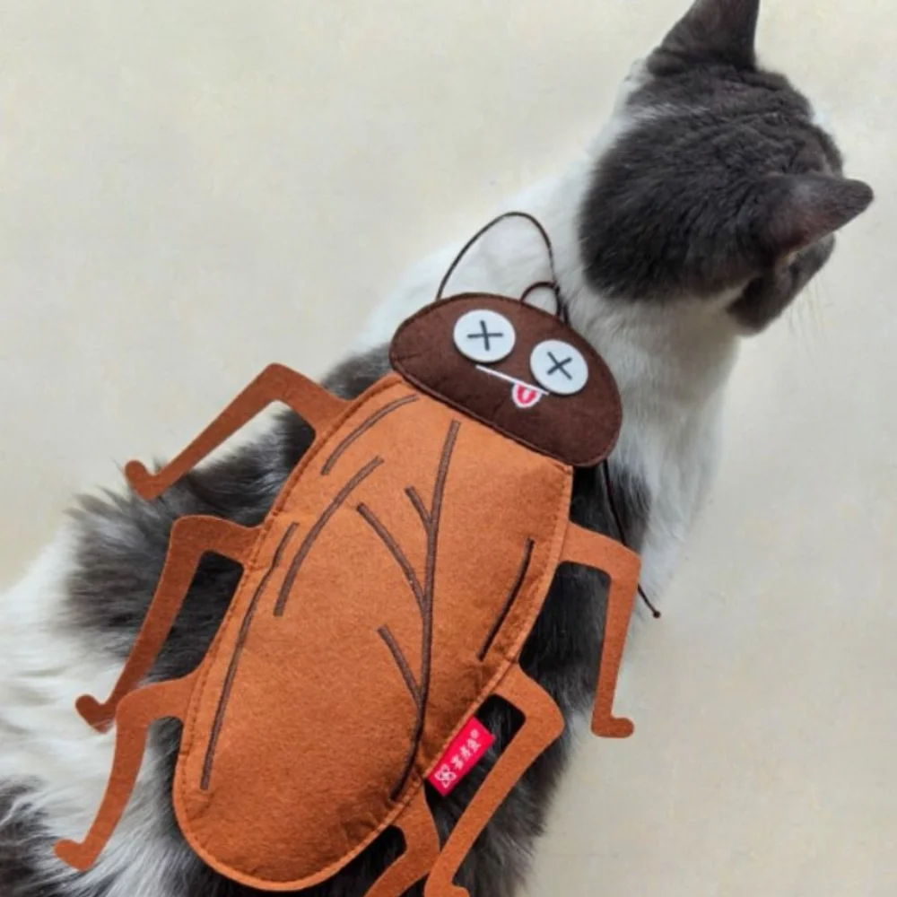 Simulation Insect Shape Cockro - Catnip Toys recension och pris