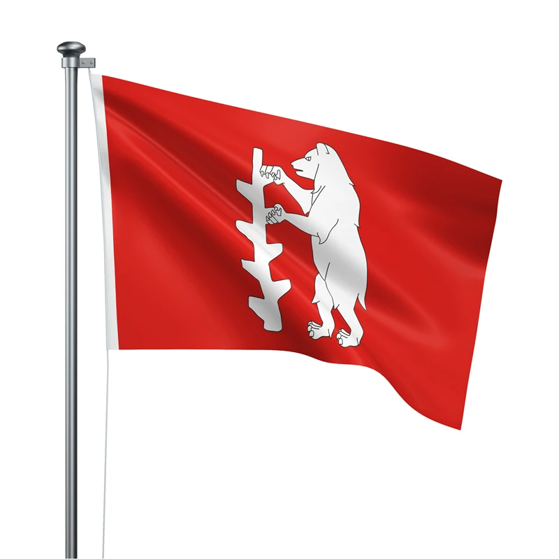 Gaslight Gatekeep Girlboss 5' x 3' Warwickshire England Flag Banner Polyester with Brass Grommets 150cm x 90cm