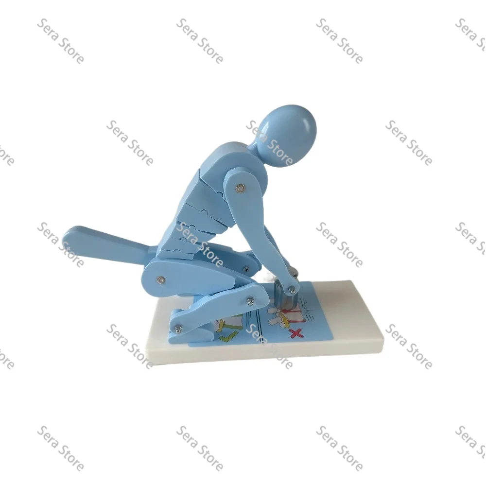 Lumbar Protection Model Correct Weight Posture Demo