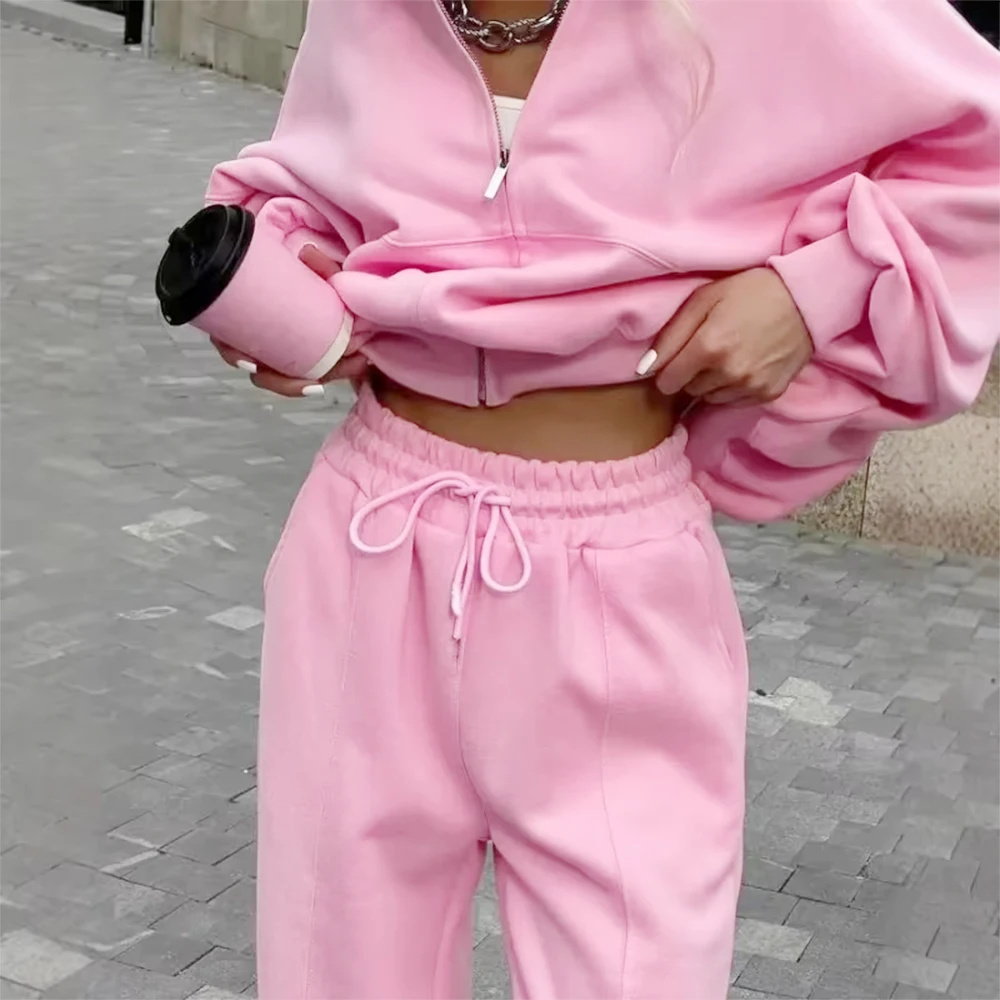 Winter Sweat Suit Set Pink Women Zipper Hoodies 2 Two Pieces Outfit Pants Casual Loose Winter Warm Tracksuits Sport Hooded Women