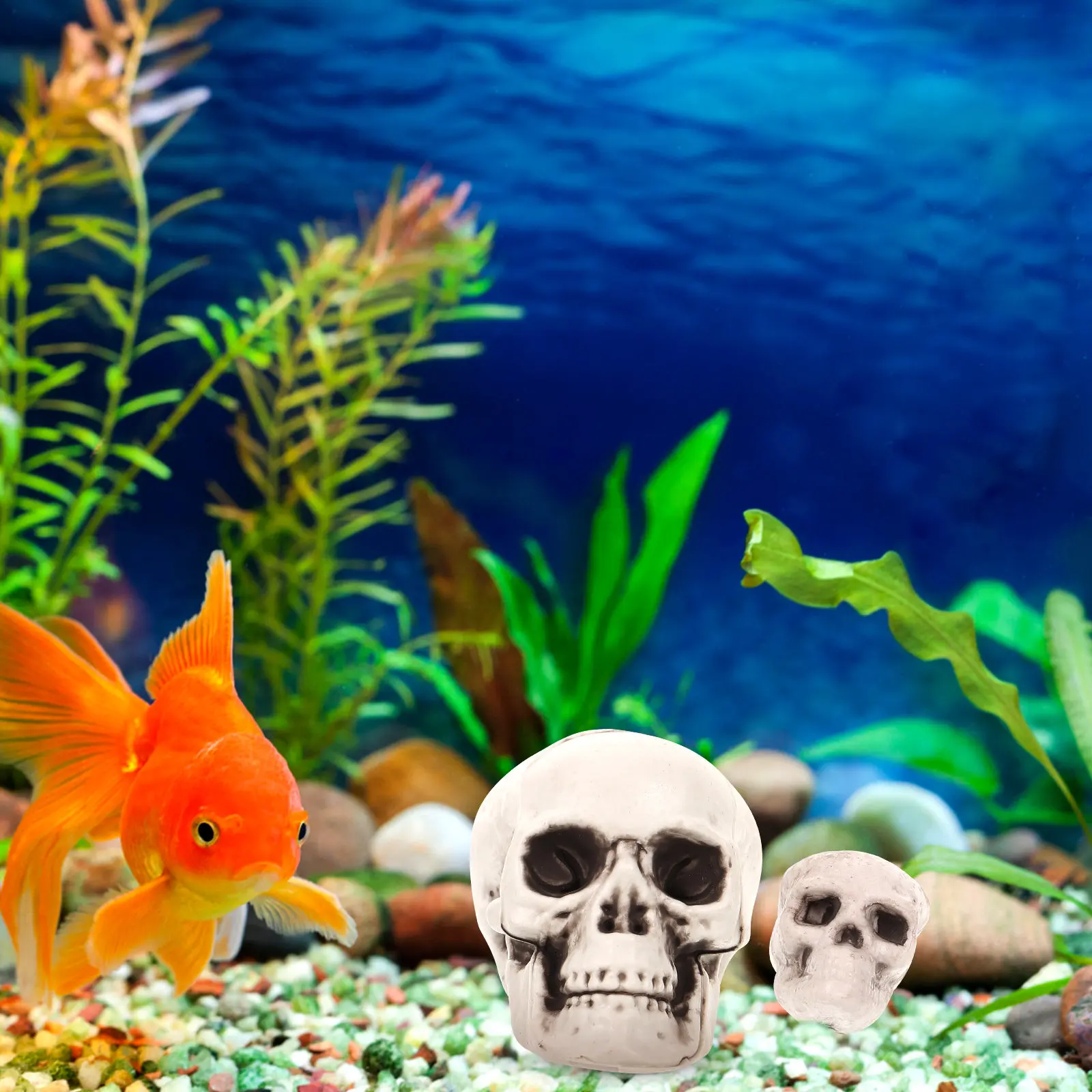 13Pcs Resin Skull Aquarium Ornament for Fish Tank Decoration Halloween Theme Safe Fresh Salt Water Fish Hideout Shrimp Shelter