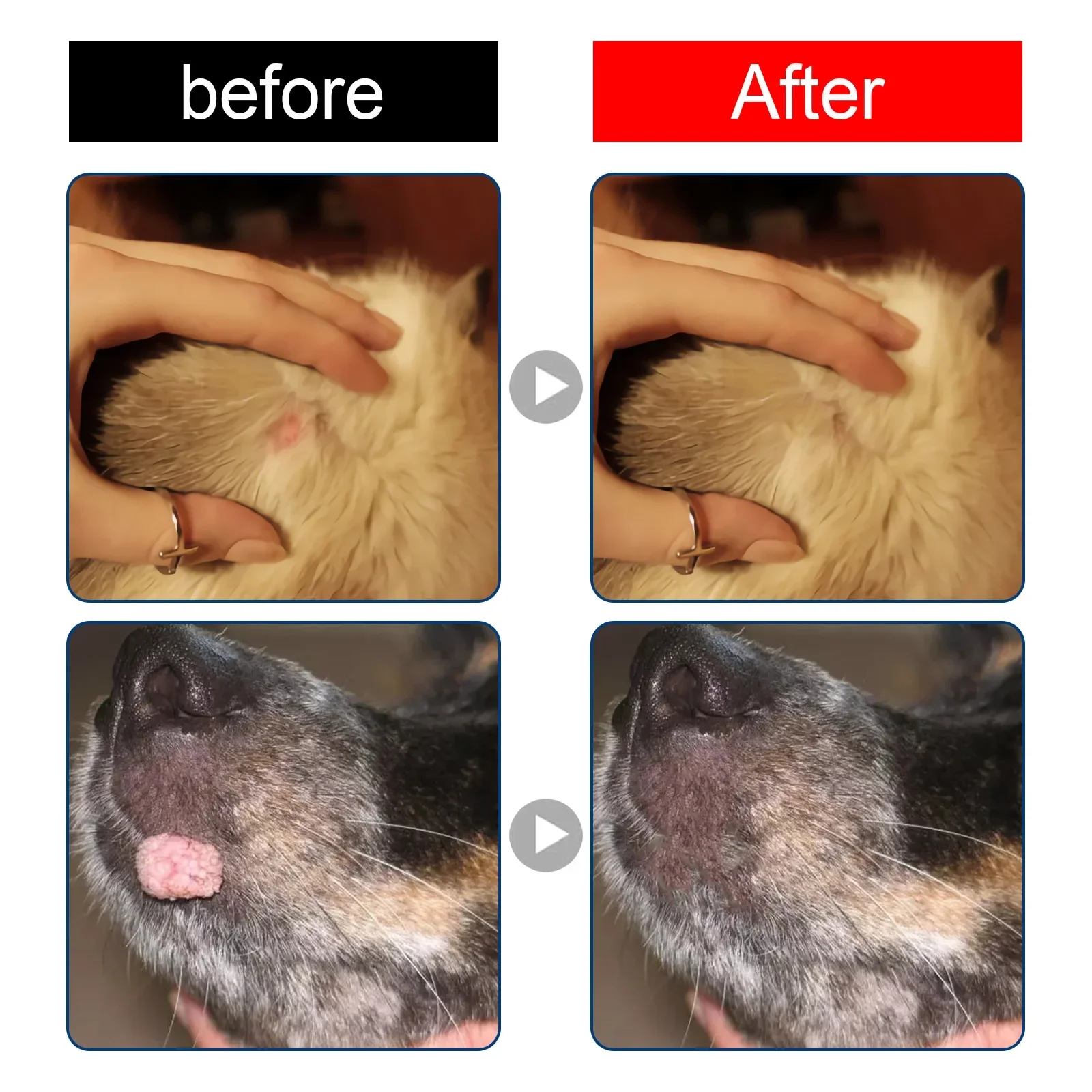 Dog Wart Remover Cat Skin Tags Removal Treat Against Moles Corn Painless Wart Clean Treatment Skin Repair Pet Skin Care Liquid