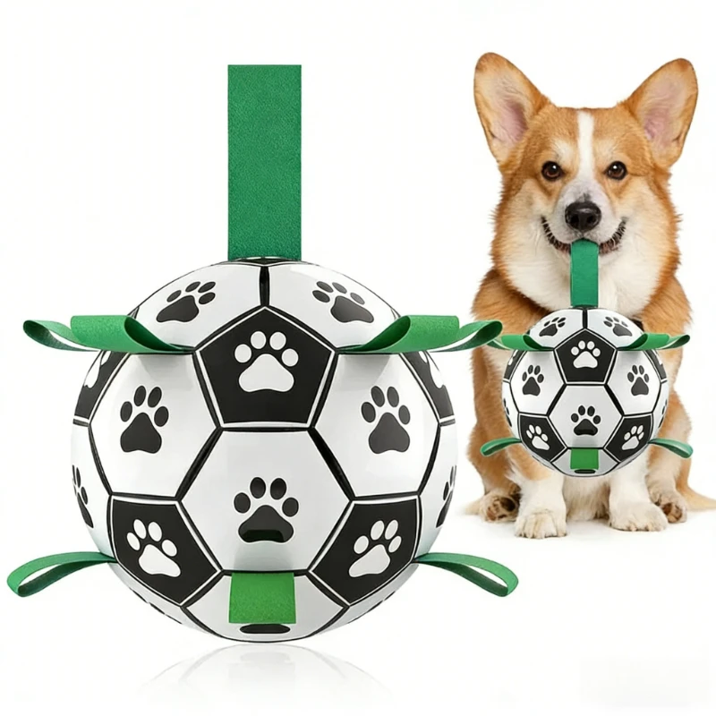 #16 Top 50 Dog Fetch Toys Worth Buying In 2026