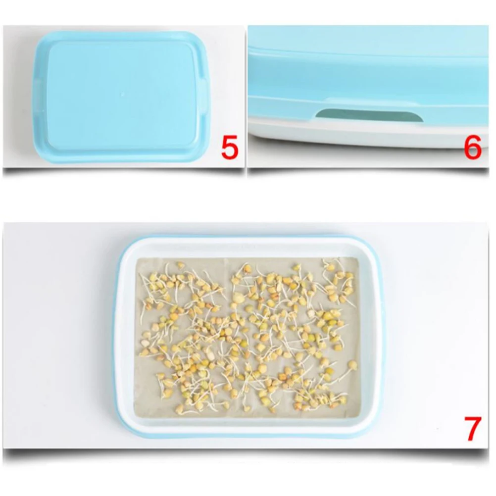 

Premium Sprouter Tray Set Veggie Growing Kit Wheatgrass Seedling Trays Germination Propagation BPA Free Small Hole High Budding