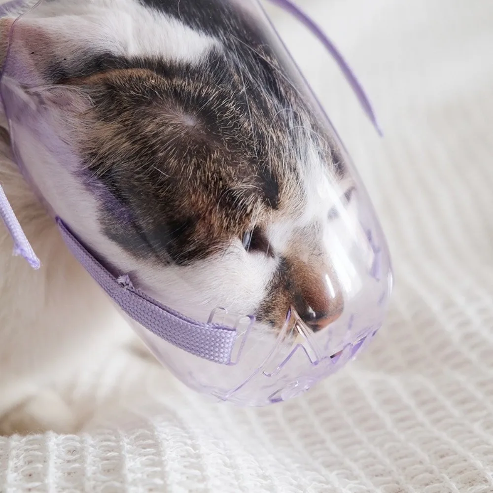 

Adjustable Cat Muzzle Mask Breathable Clear Kitten Mouth Cover Anti-bite Hollow-Carved Design Pet Grooming Mask Chewing
