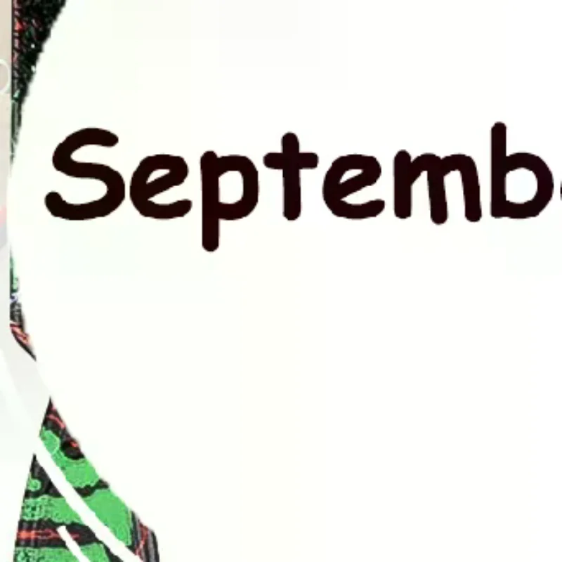 

Double-sided Professional Barber Neck Brush Comb Shaving Beard Salon Carving Duster Cleaning Brush Hair Cutting Comb