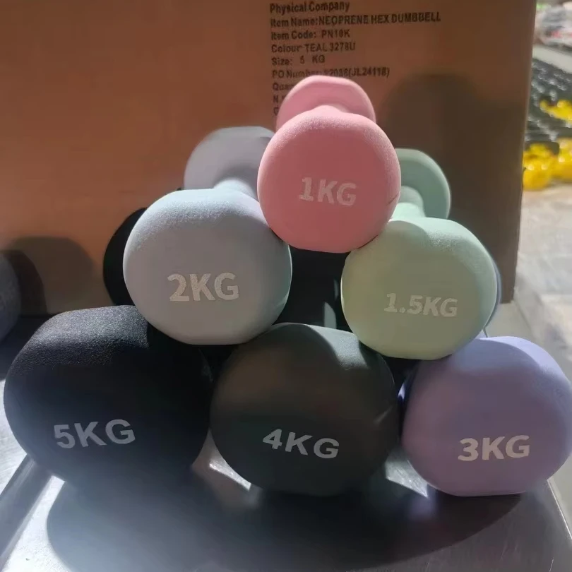 Wholesale Custom Logo Fitness Equipment Small Cast Iron Dipping Dumbbell 2 lb  Sizes for Home Use