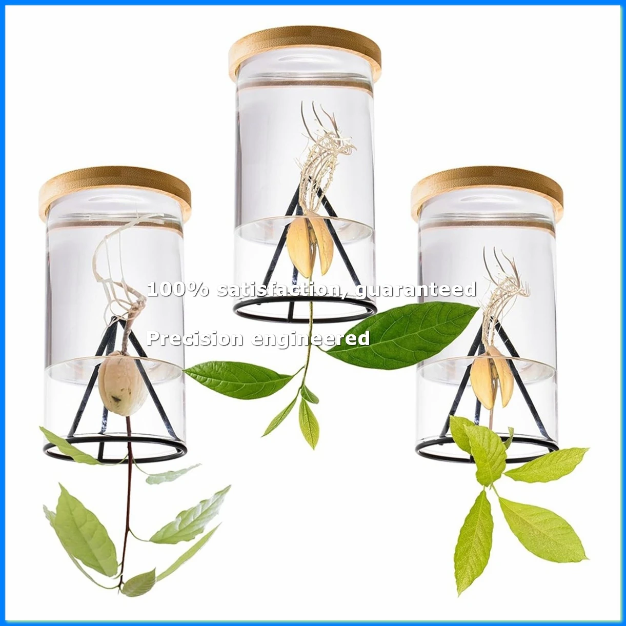●3 Pack Avocado Tree Growing Kits, Glass Avocado Seed Vase with Triangle Bracket and Bamboo Base, Sprouting Plant Pot-ABFB