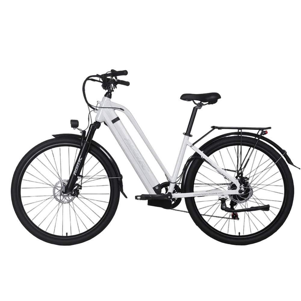 PASELEC TX10 Elektrische fiets voor volwassenen,100km actieradius,48V 19,2Ah accu,29 inch banden,7 versnellingen,Vergrendelbare voorvork,Voor‑ en achterremmen met schijfrem,Geschikt voor