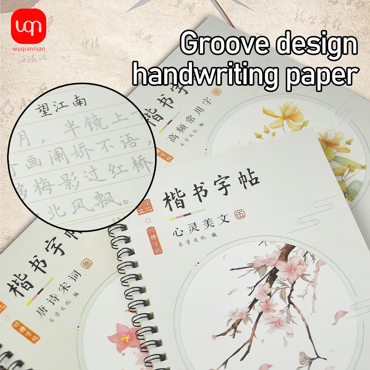 WQN-6PCS 3D Chinese Characters Reusable Grooved Calligraphy Copybook for Learning Chinese Characters, Adult Writing Book, Gift