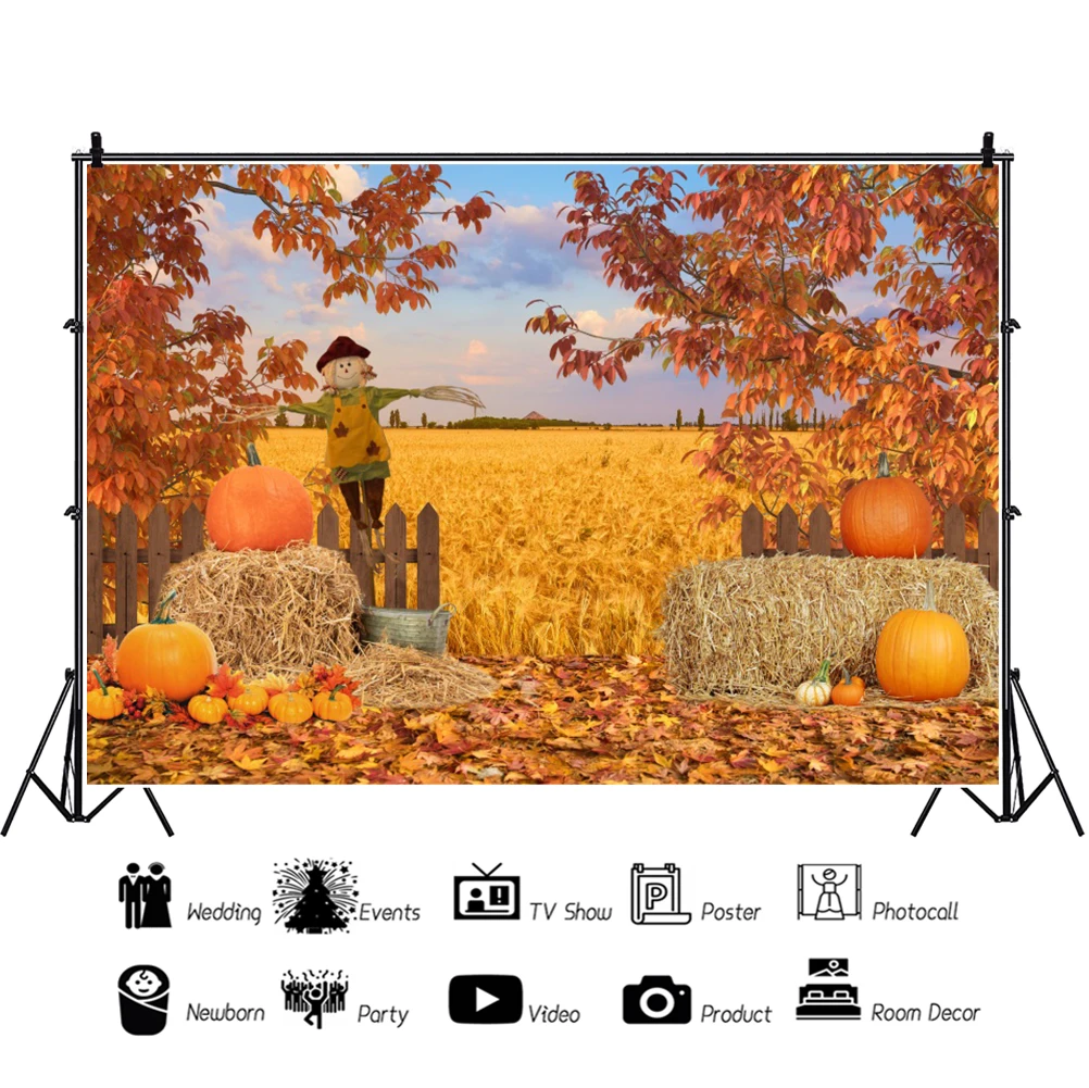 طفل صور التصوير الفوتوغرافي الخريف خلفية التصوير القش كتل الحصاد الأرز اليقطين الشكر حفلة خلفية استوديو الصور