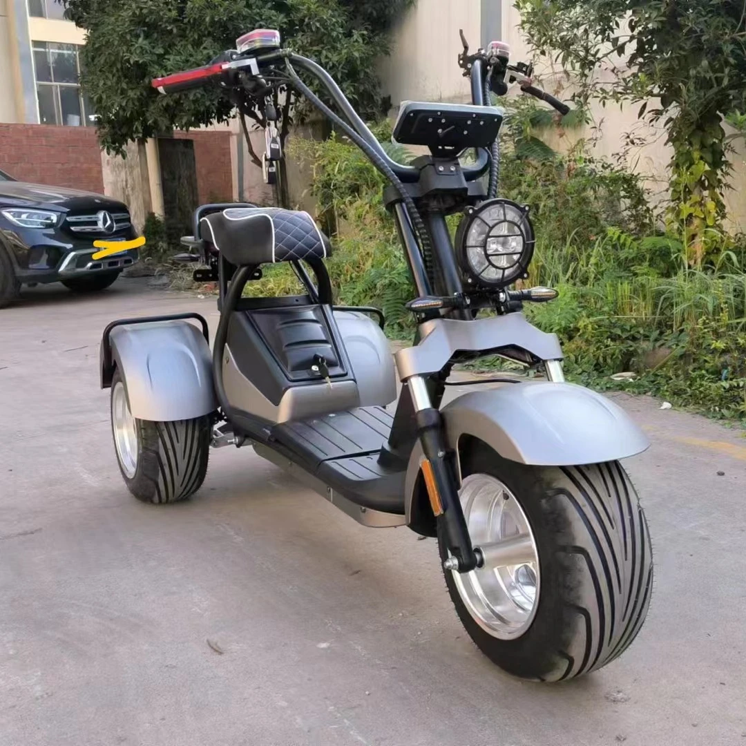 2022 new model 60v 20Ah removable battery 3 wheel powerful golf basket carrier with 2 seats electric scooter