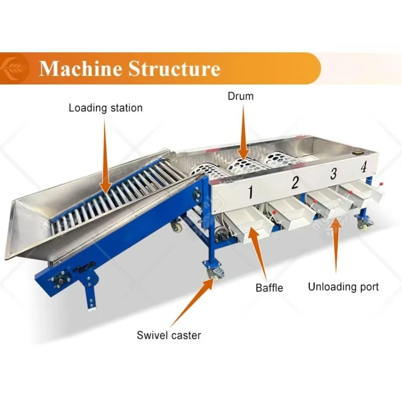 Commercial Potato Olive Sorting Machine Automatic Fruit Grade Calibration Size Grading Equipment Customized