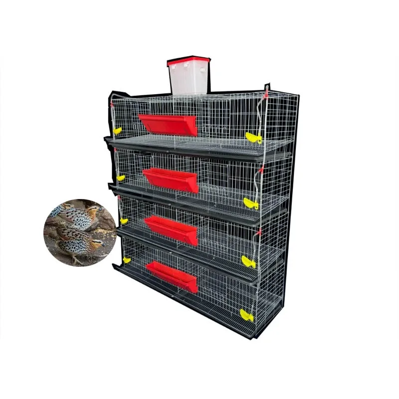 6-Layer egg quail cage for egg production
