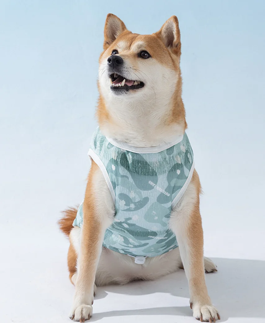 Preventie van zonnesteek voor huisdieren, koeling, tractie van mesh splitsen, stoere kleding, kleine en middelgrote hondenteddy, zomervest, hondenclo