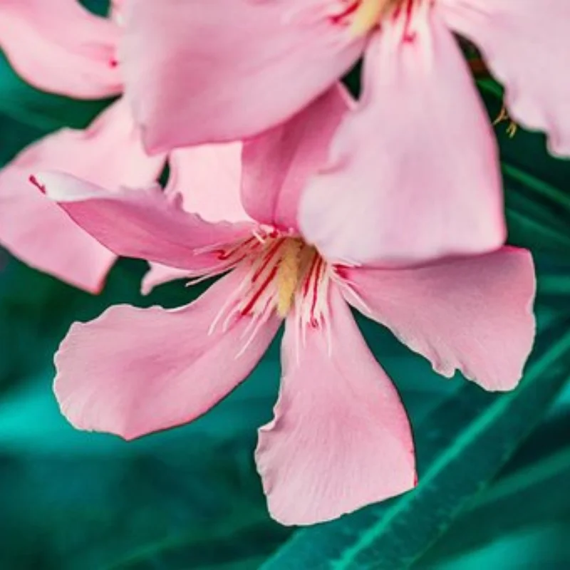 

WLtoys 104006 104010 104020 104026 Remote Control Car Accessories Upgrade Front Axle Steering Cup