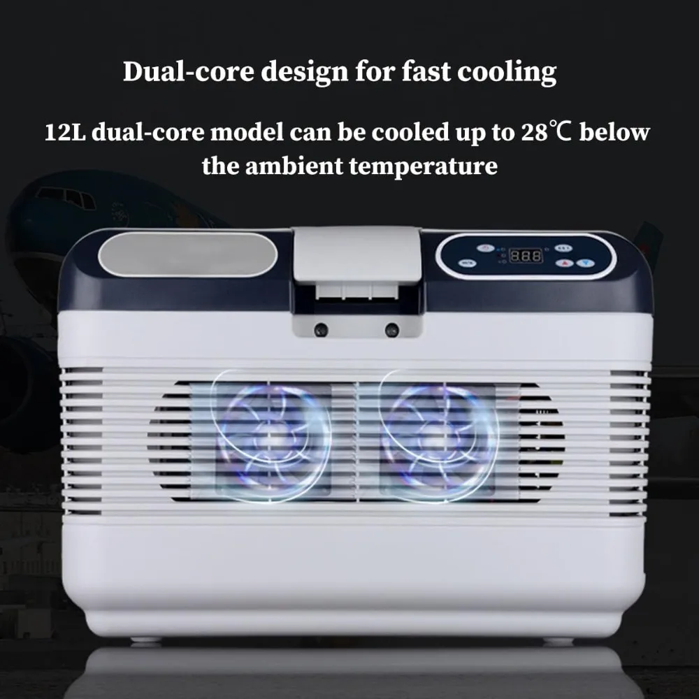 Mini frigorifero personale, frigorifero per la cura della pelle da 12 litri per donne, frigoriferi termoelettrici portatili per la cura della pelle, bevande,