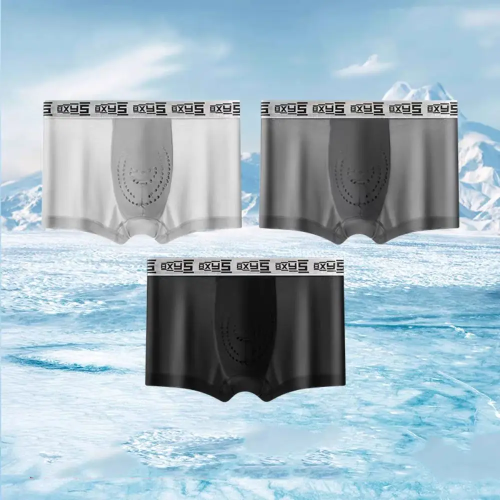 

3Pcs Simple Mesh Men's Flat Panties Traceless Mid Waist Seamless Briefs Ice Silk Underpants Shorts Boxers Gift