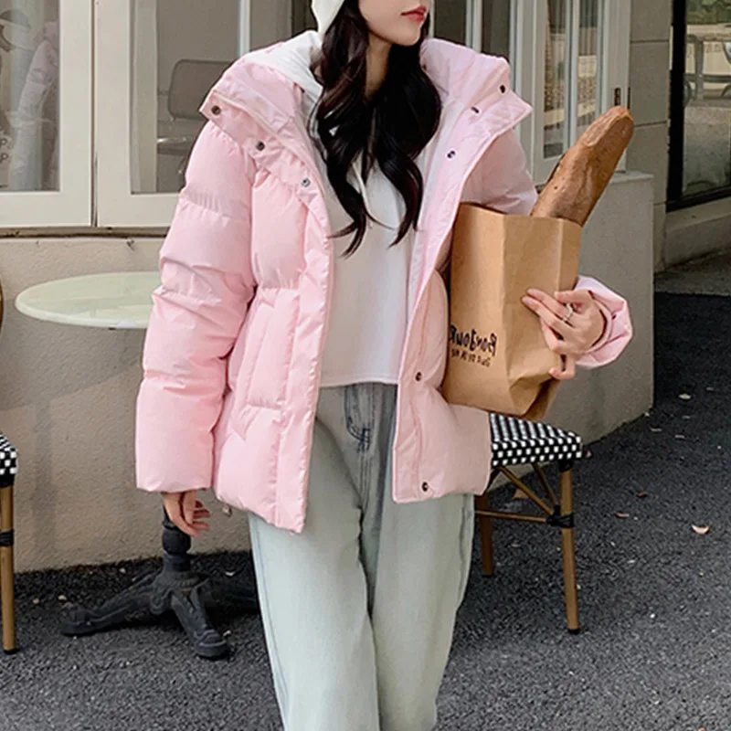

Women's Autumn Winter Down Jacket Duck Short Zipper Personalized Vintage Comfortable Leisure Fashion Advanced Niche Versatile