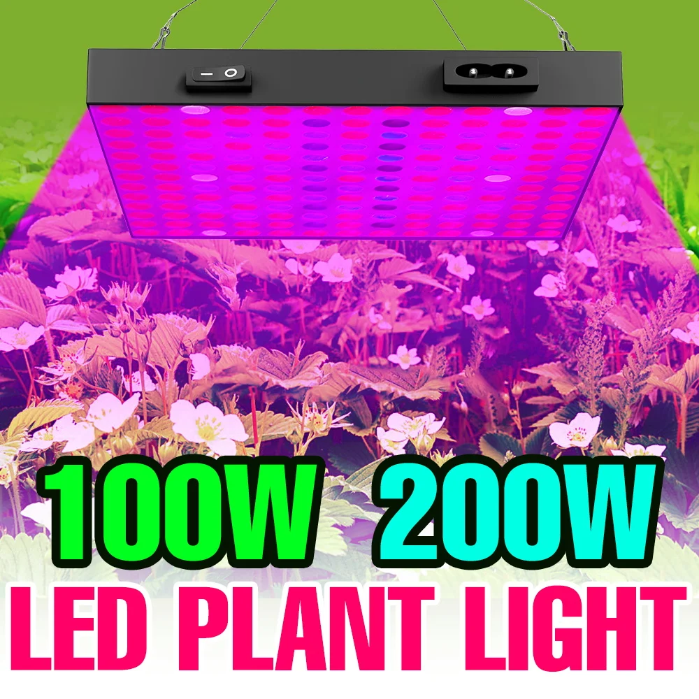 

Светодиодная лампа для растений 200 Вт, полный спектр, Quantum Board, 110 В, для теплиц, гроубоксов, гидропоники, освещение для выращивания овощей