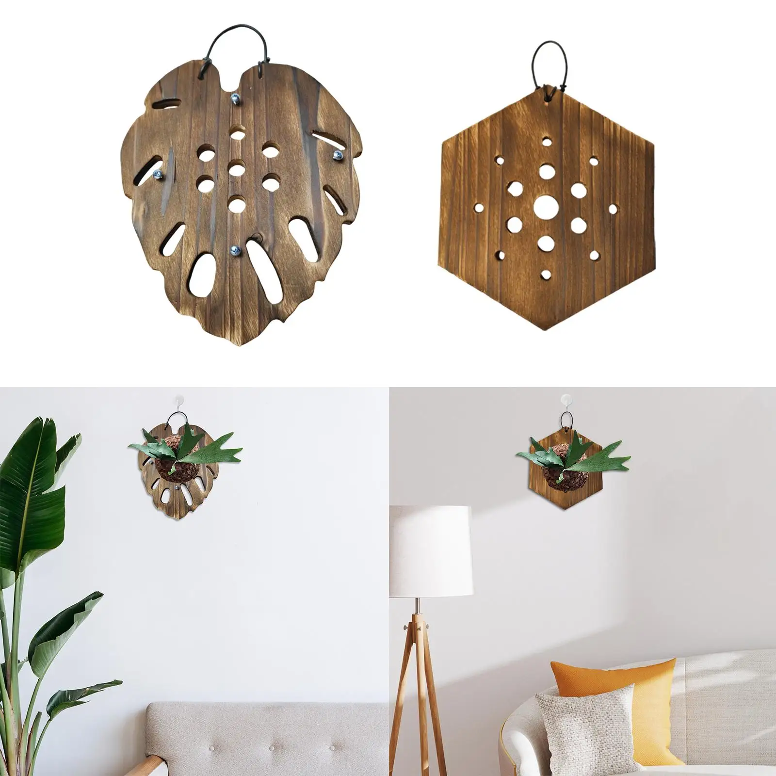 Fern Mounting Board Wall Planter Accessory Rustic Look Space Saving Hanging Planter Multipurpose for Orchids Easily Install