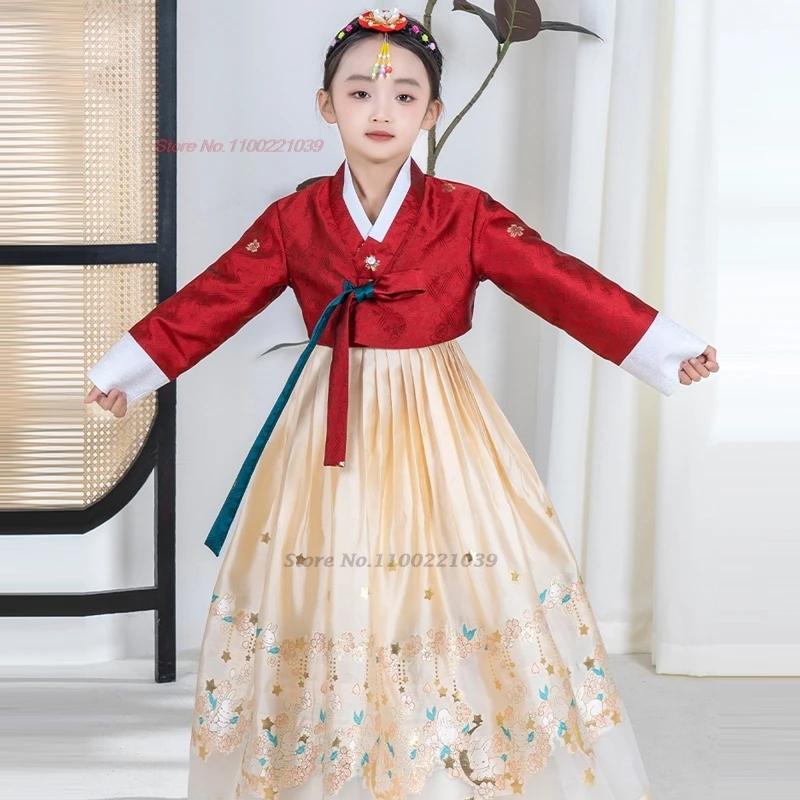

2025 oringinal children dress hanbok ancient korean folk stage performance dance costume traditional flower print chiffon dress