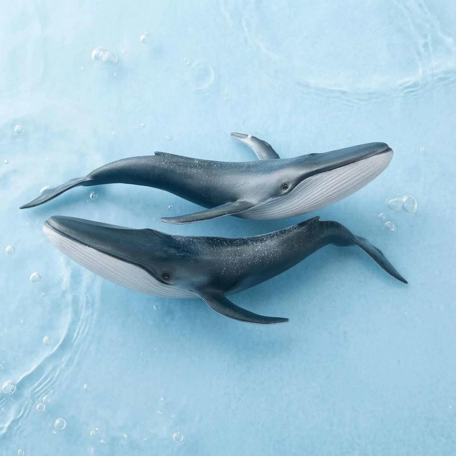 

Marine Mammal Figurine Figurine Ornamental Plastic Marine Mammal Model Creature Decoration