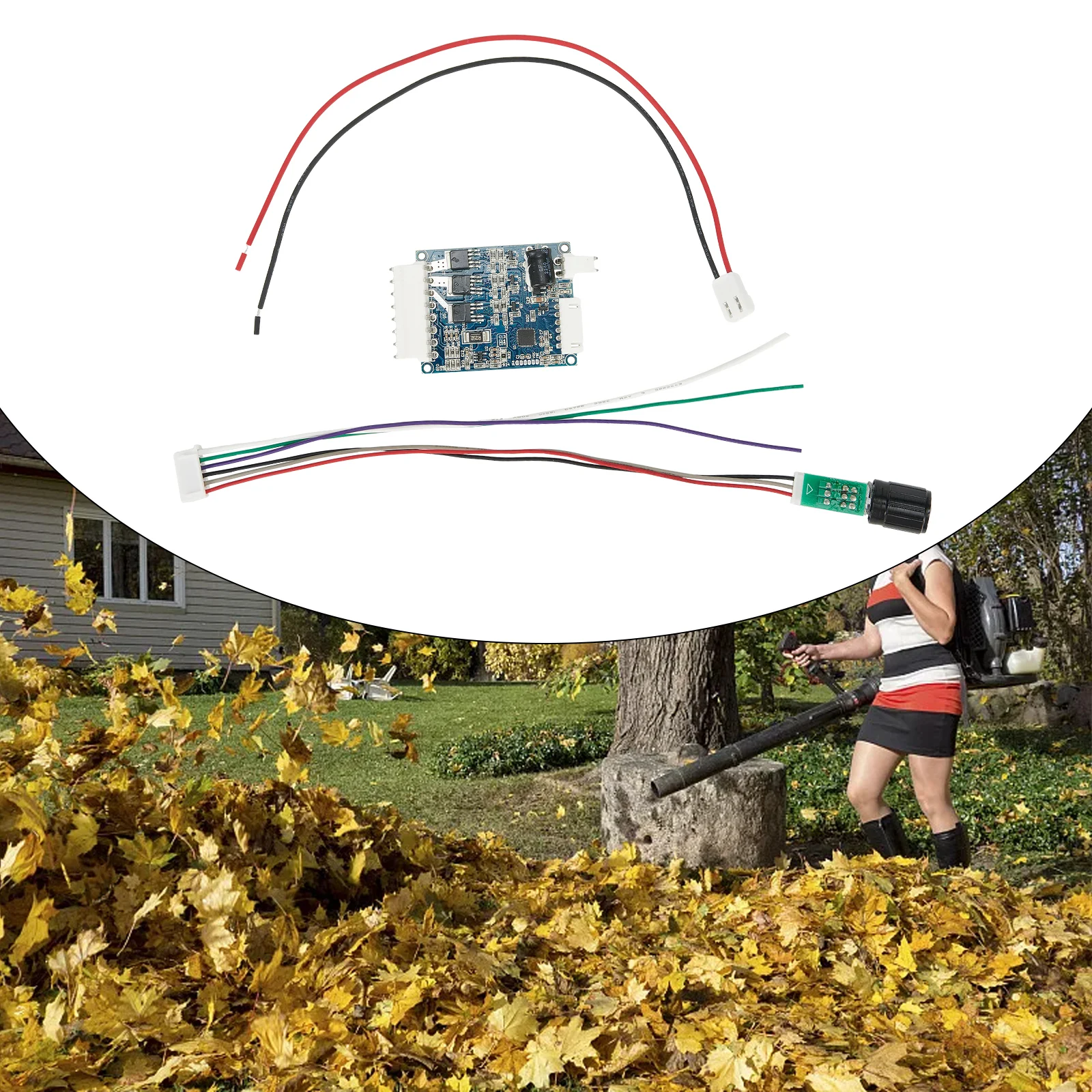 محرك منفاخ الطرد المركزي WS7040 محرك تيار مستمر محرك منفاخ الطرد المركزي بدون فرش لمنفاخ 24 فولت لمنفاخ WS7040-24-V200N