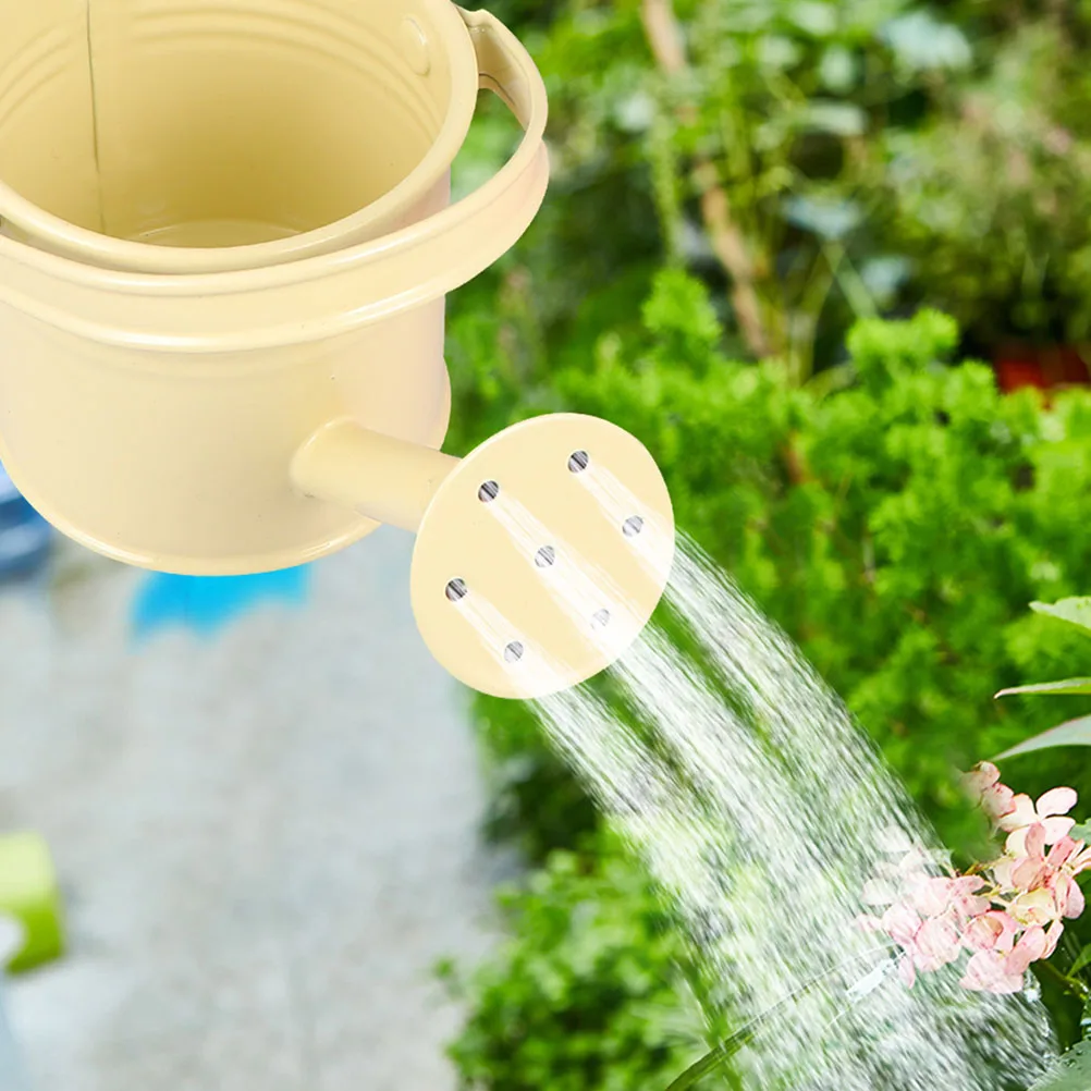 

2pcs Watering Can Durable Iron Portable Garden Kettle Lightweight Cute Design Sprinkling Pot For Succulent Air Plants