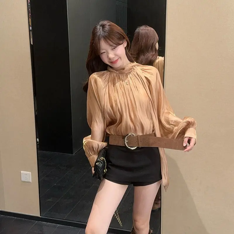 

Gentle Style French Streamer Pleated Lantern Sleeve Long-sleeved Shirt for Women in Autumn Loose Niche Versatile Top