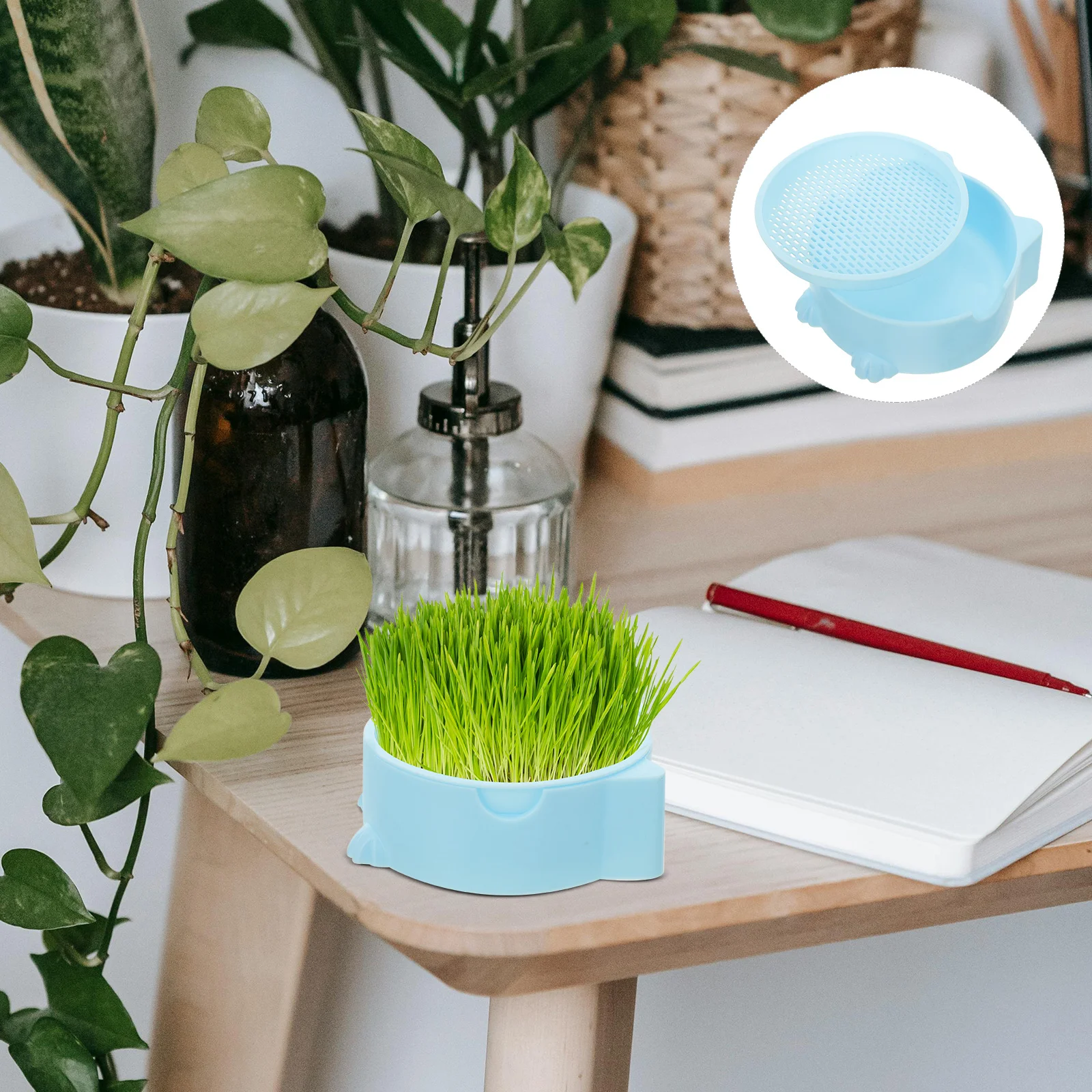 Cat Grass Planting Box Planter Household Snack Soilless Creative Case Plastic For Home Pot Nursery Growing Kit Cup