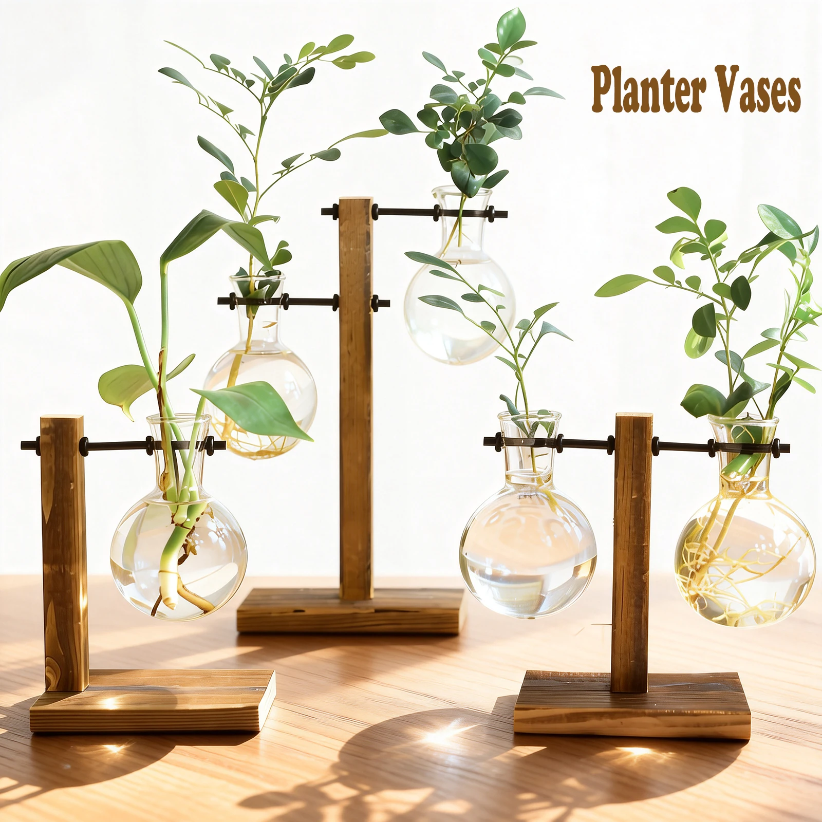 Hydroponic Plant Terrarium Glass Bottle Hydroponic Desktop Decoration Office Green Plant Small Potted Home Vasevase Decoration