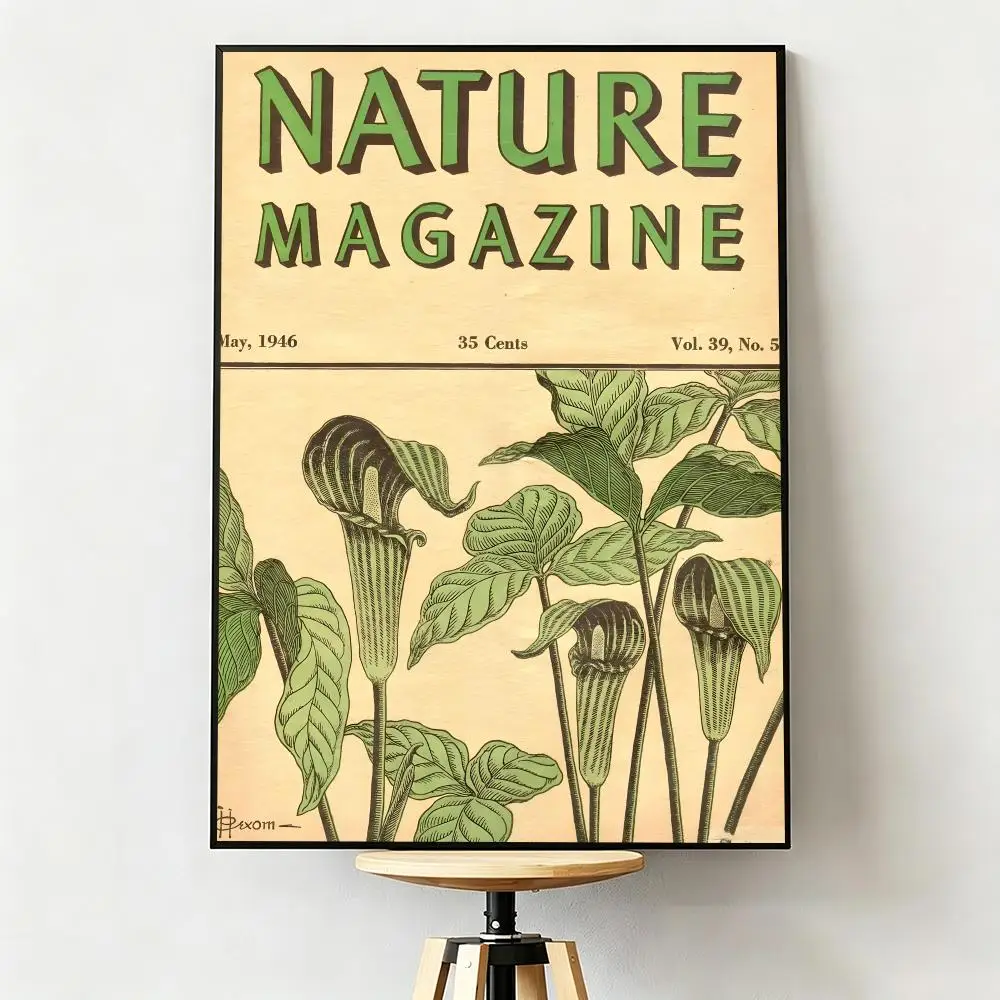 Magazine Academic N-Nature Poster Wall Sticker Poster for Living Room Bedroom Decor Gift Lightweight Self‑Adhesive PP Material